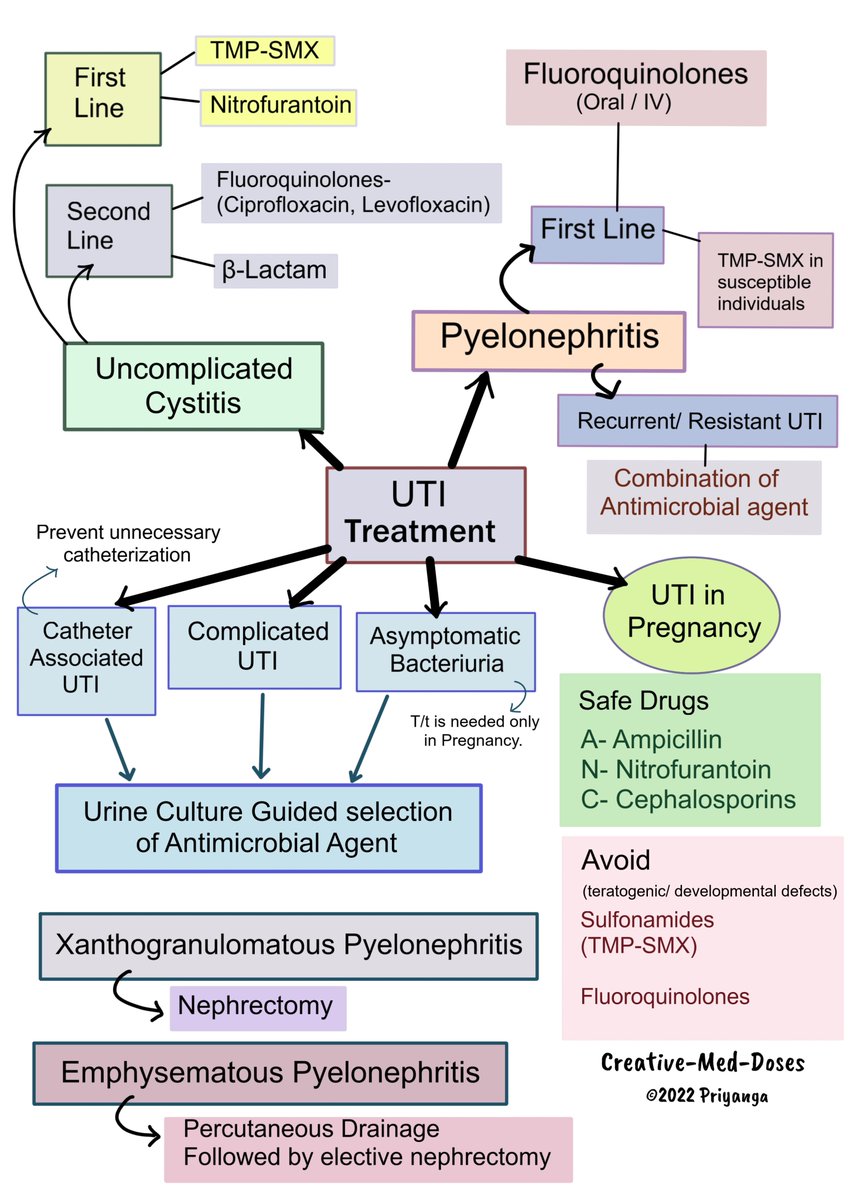 Creativemeddose's tweet photo. UTI treatment 
Reference Harrison internal medicine 
#MedEd #Foamed #UTI #nephrology https://t.co/G1kb5RbzXk
