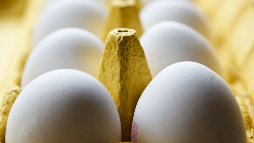 For noe dager siden løftet <a href="/dagbladet/">Dagbladet</a> og <a href="/MetteNHavre/">Mette Nygård Havre</a> en viktig sak! Matsentralene skulle gjerne hatt dette partiet med egg, men det er en del utfordringer som må løses. Det er for sent å redde disse eggene, men vi jobber videre med bransjen for å finne bærekraftige løsninger.
