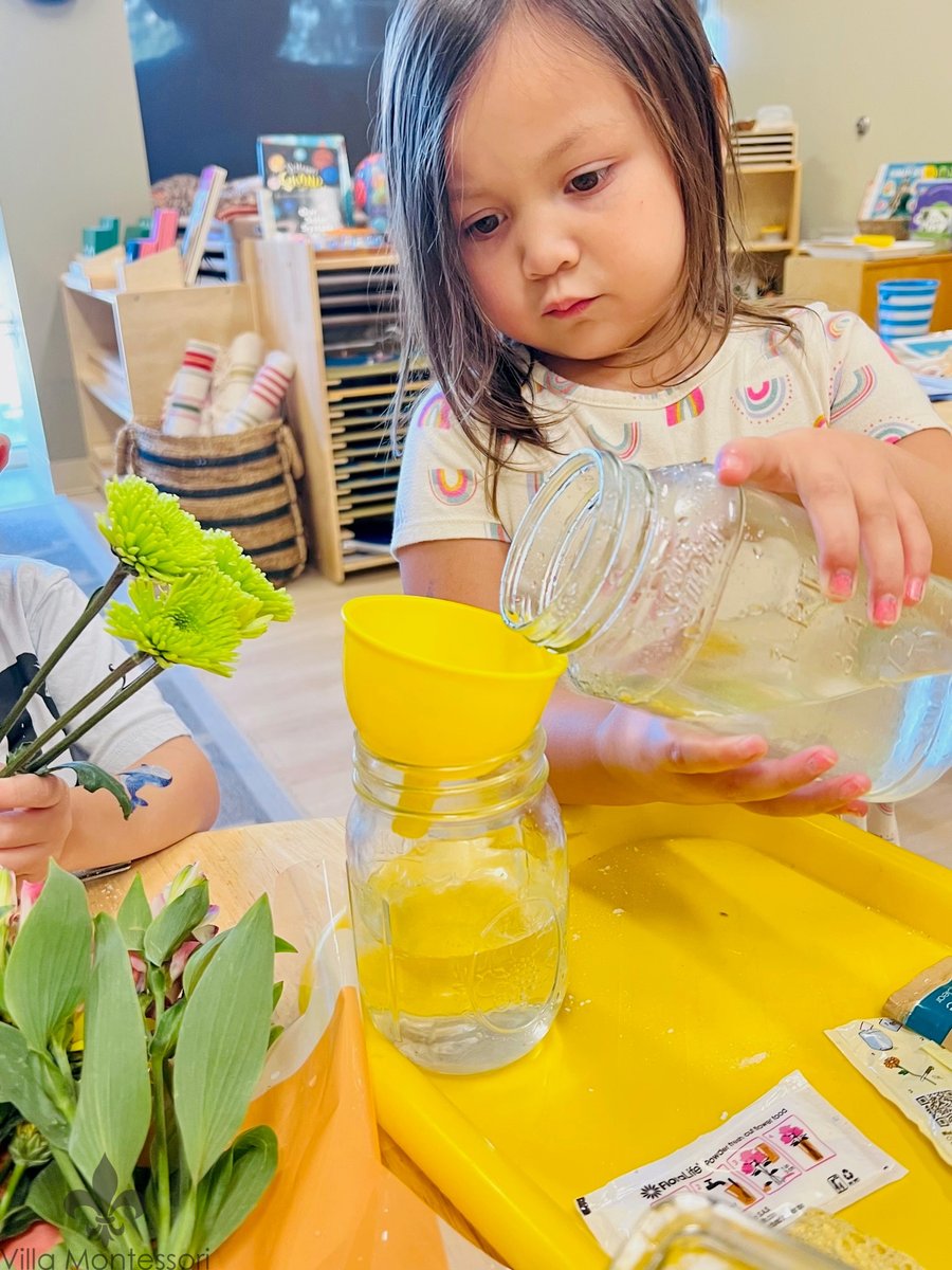 Villa Montessori Leesburg tweet media