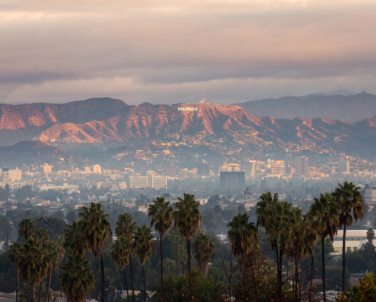 Brandon Yoshizawa tweet media