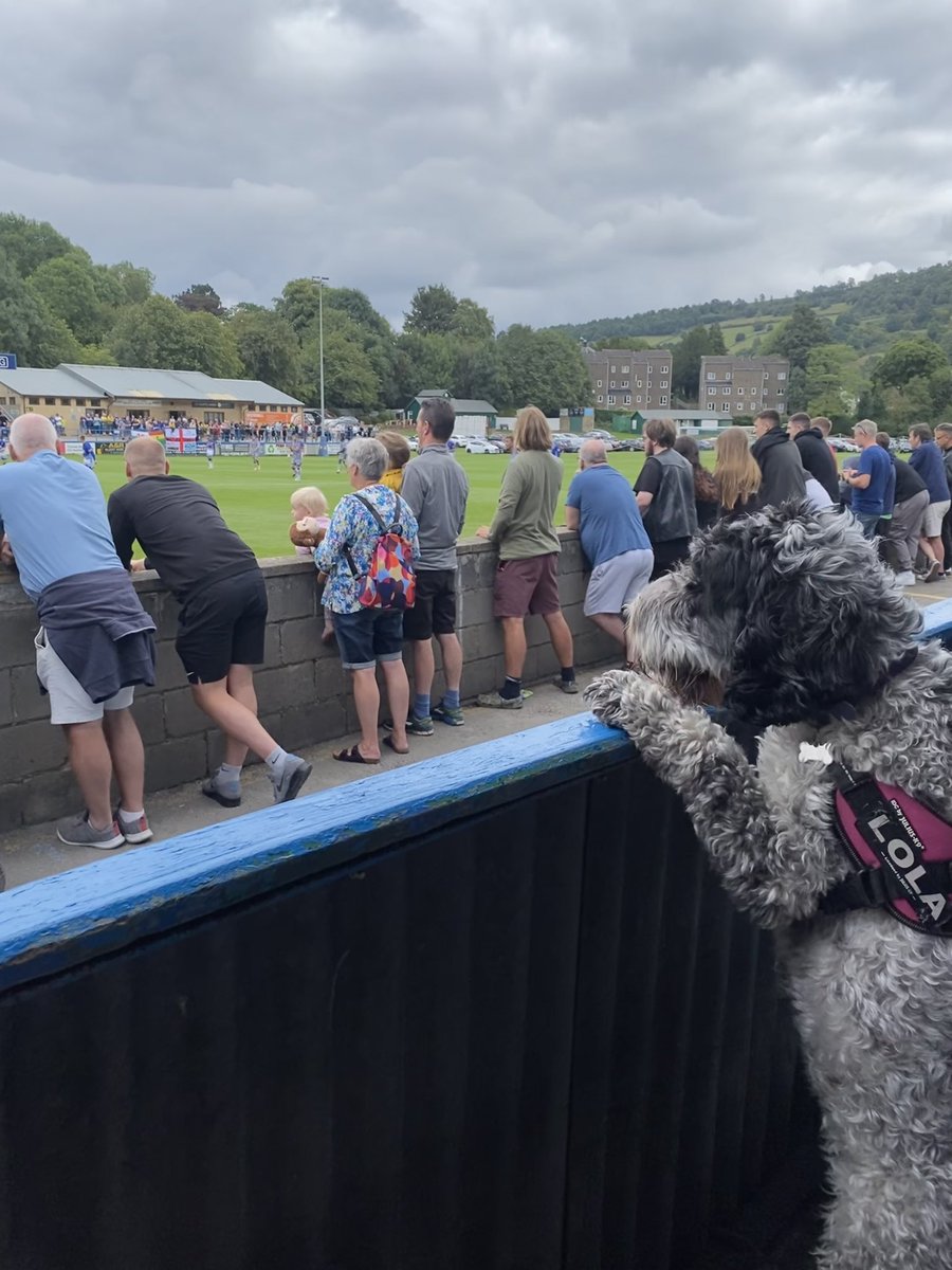 beccanoble88's tweet photo. Lola’s back for more of the action at @Matlock_TownFC. This time she’s brought Milo 🐾⚽️ https://t.co/qsIYYHTCh5