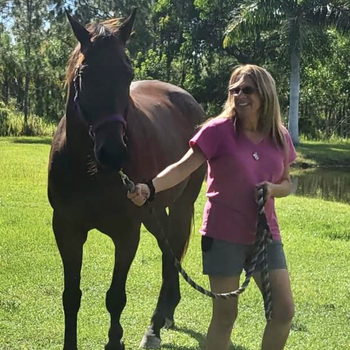 South Florida SPCA tweet media