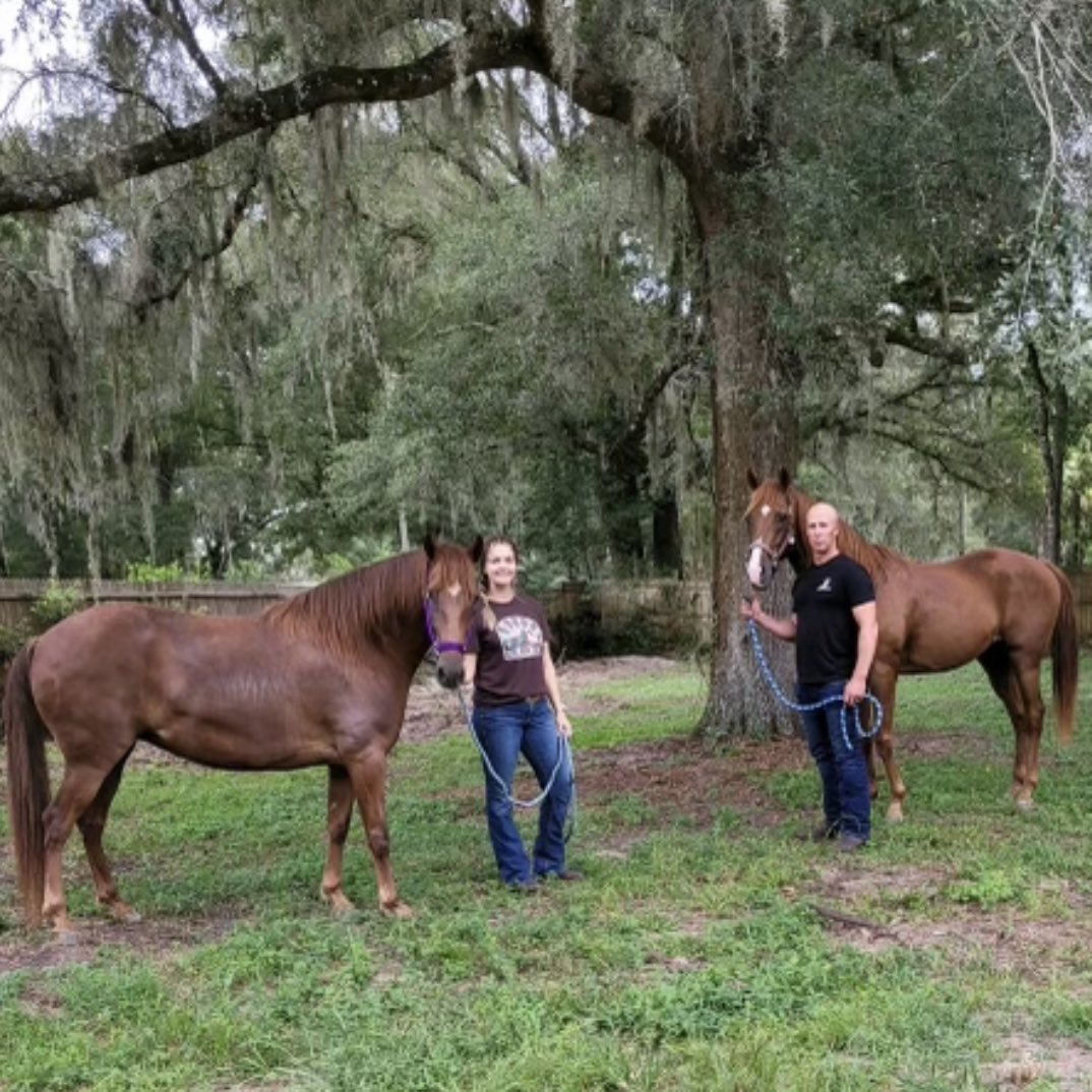 South Florida SPCA tweet media