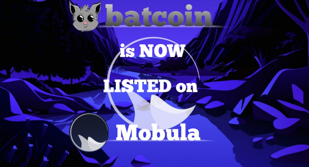 Batcoin can now be tracked on Mobula: The Decentralized Data Aggregator 🔥

mobula.fi/asset/batcoin
@MobulaFi #batcoin #bats #mobula #memecoin #Bscgem