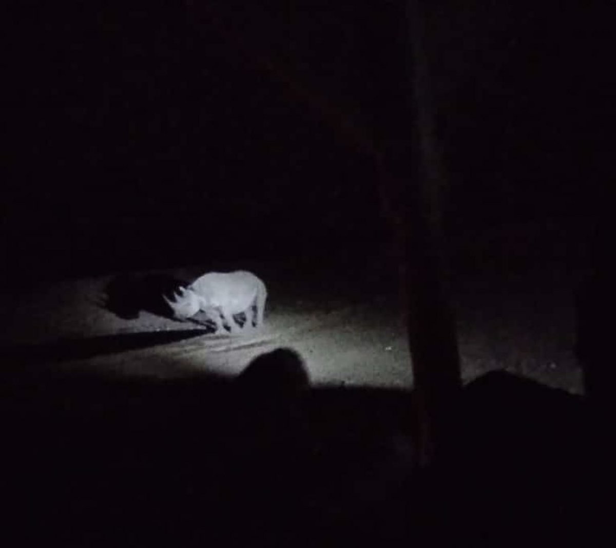 Skelemkey_NA's tweet photo. I spotted my happiness somewhere safe last night. But let me finish with the budget first, How much is the new Amarok V6 guys ? https://t.co/u5RjqO3UvO