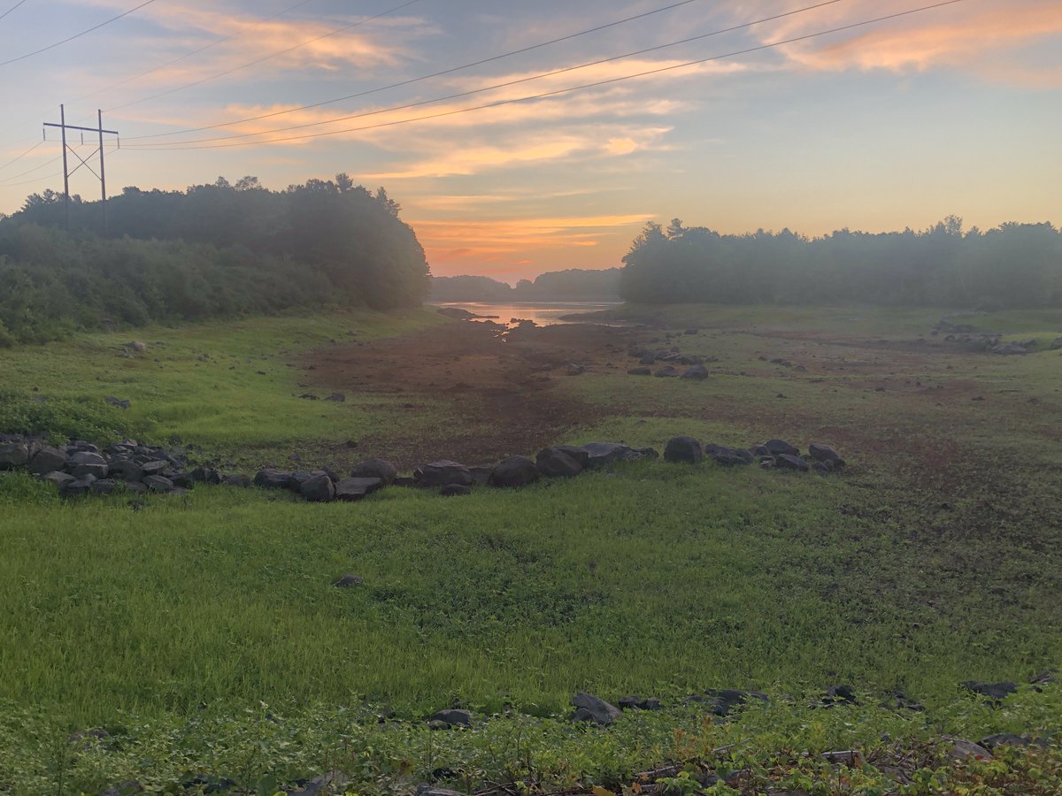 BurlingtonConservation tweet media