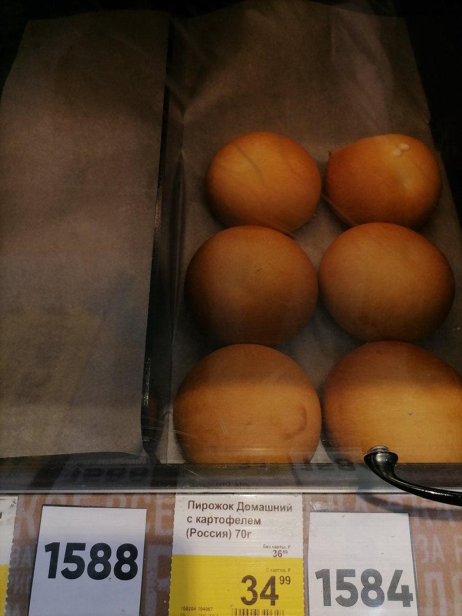 pidgesaur tweet media