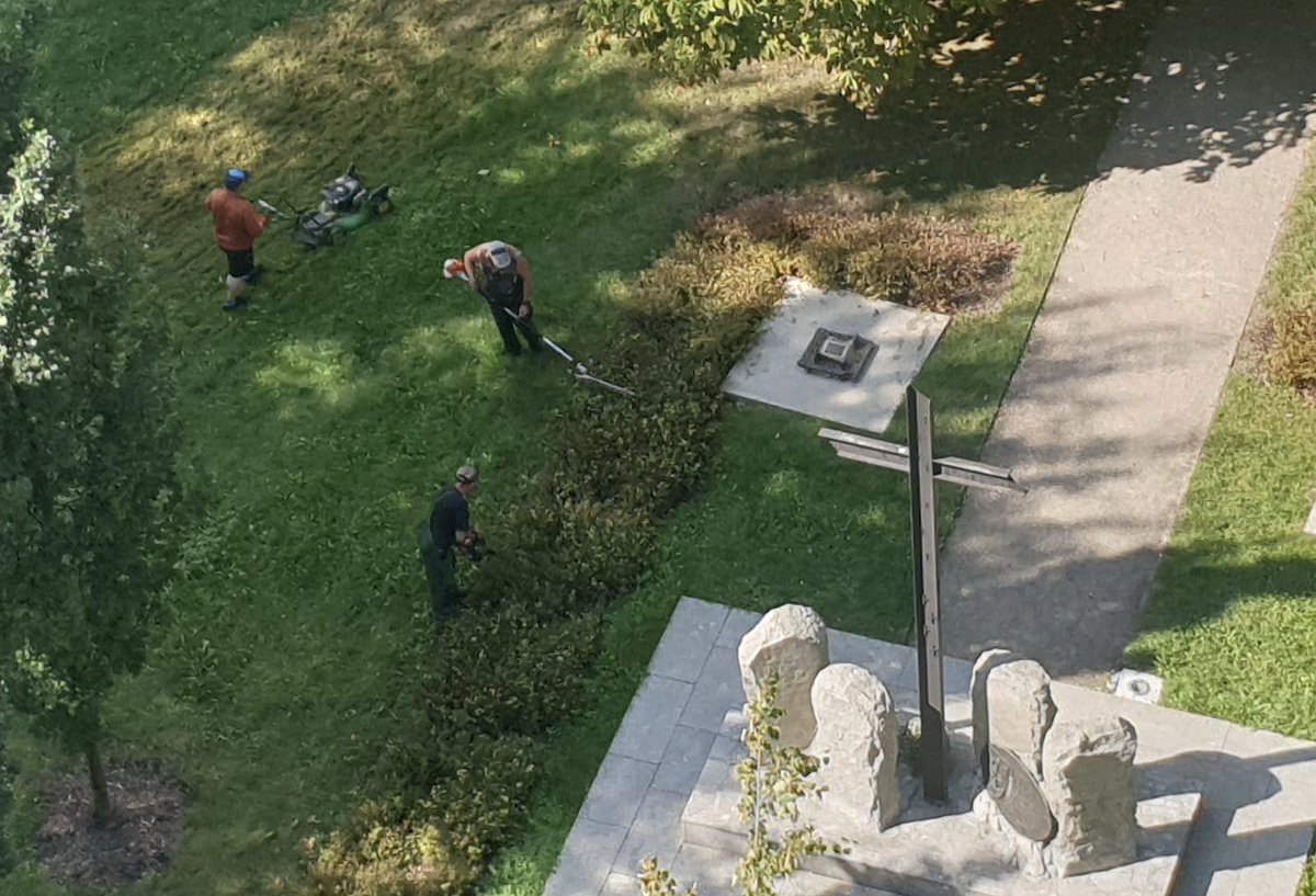 Franek Wardyński tweet media