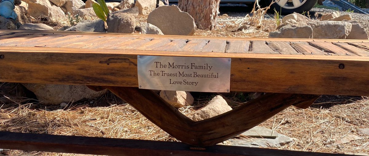 Sandy Morris tweet media