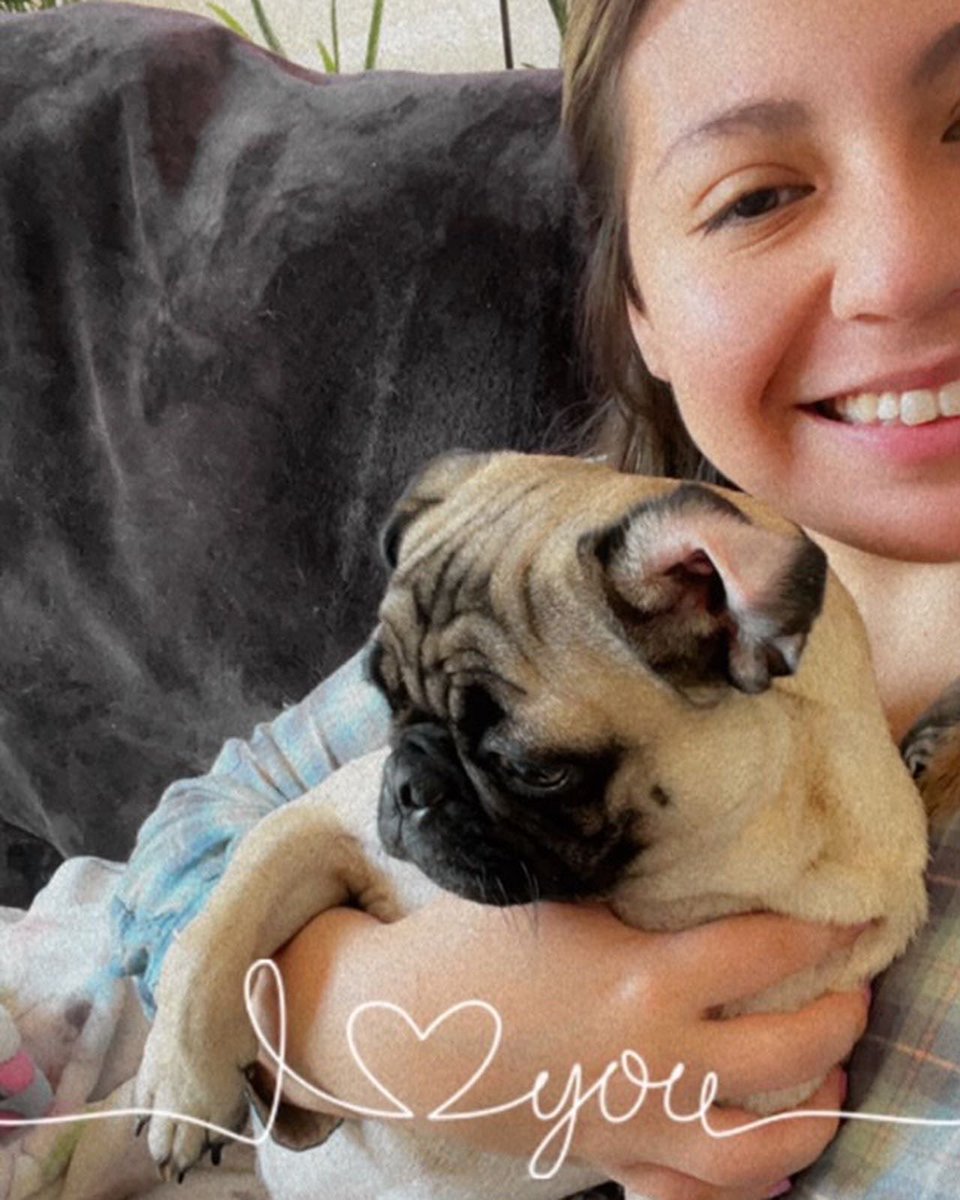 DFWPugRescue's tweet photo. 💙🐾HAPPY TAILS 🐾💙 Bryce was adopted by Brenda Sierra 🎉 Bryce is in the middle in the second photo! https://t.co/BVdIBJuBh6