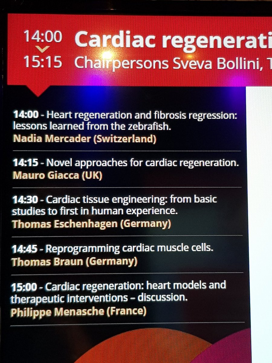 nmercaderh's tweet photo. @reanima2020 well represented at #ESCCongress 😊 https://t.co/9ZbT8vCUq4