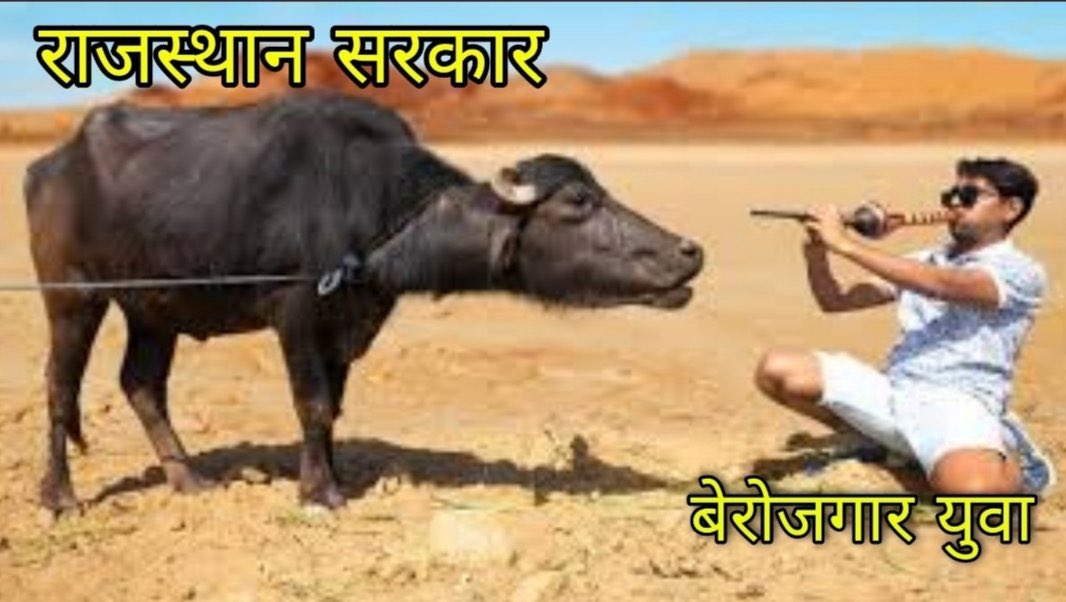 कब होगा न्याय बेरोजगार युवाओं के साथ? #kirodi_baba_with_cha 
#गहलोत_राज_OBC_बेहाल
<a href="/Ganesh__Jangu/">Ganesh Choudhary Lks</a> 
<a href="/ravichawla05/">Ravi Chawla</a>