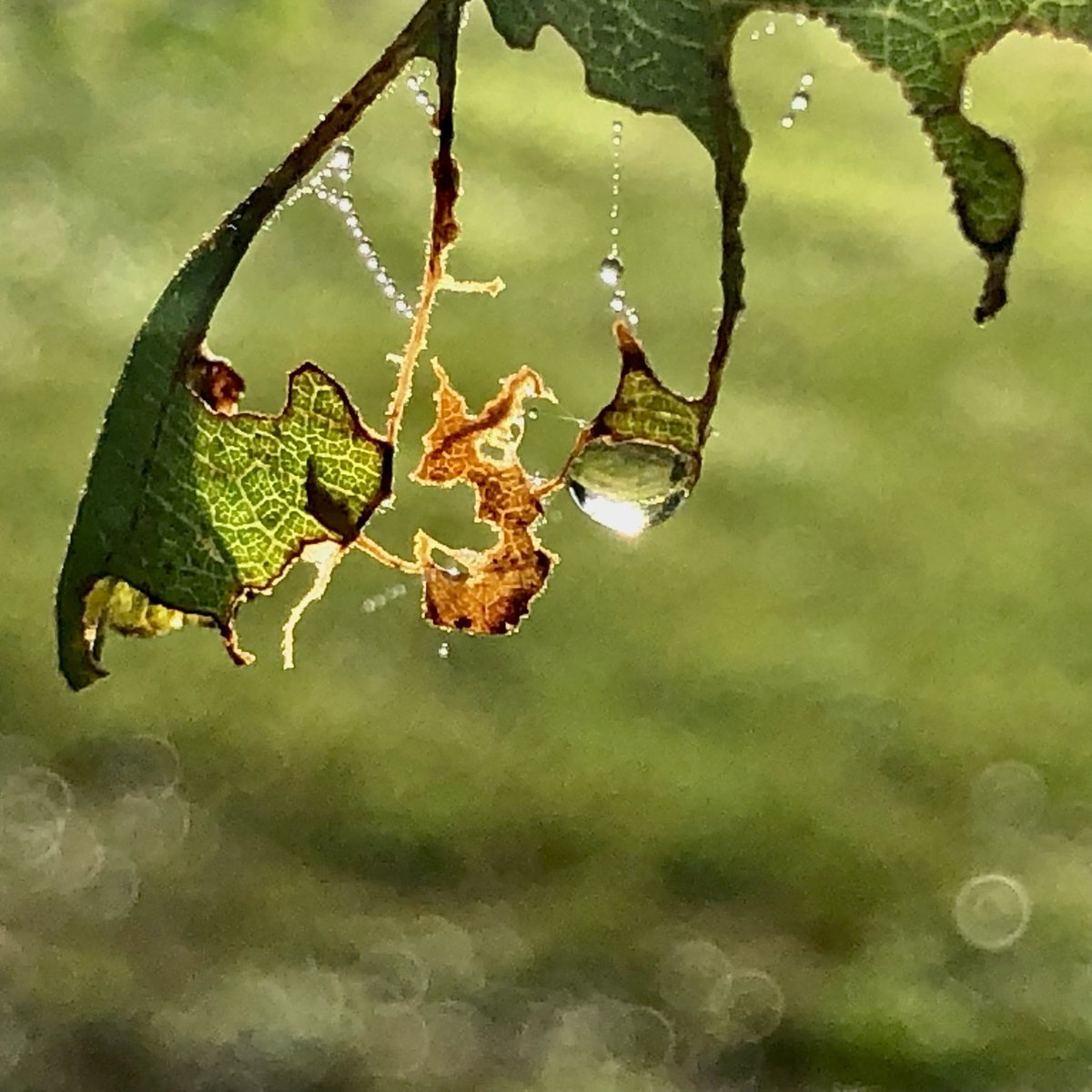 Pastor_Jim's tweet photo. #Psalm51
Behold, you delight in truth in the inward being, and you teach me wisdom in the secret heart.Psalm 51:6 #PsalmForToday #mymorningpromenade🏃 #stuffiliketolookat https://t.co/QIFvukcOlw