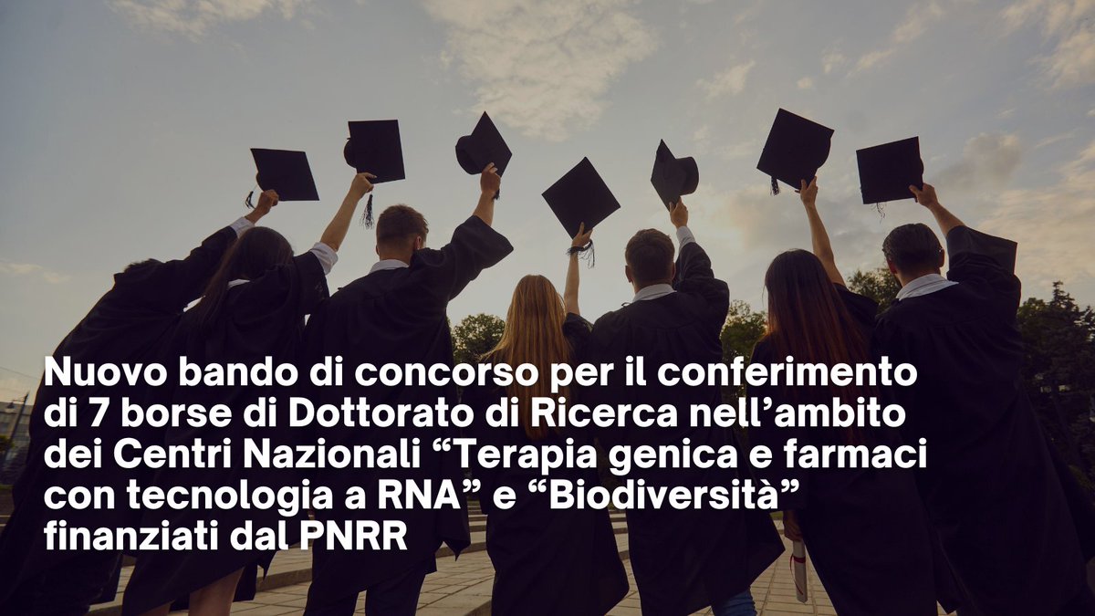 L'#Univr ha indetto un bando di concorso per il conferimento di 7 borse di #Dottorato di Ricerca nell’ambito dei Centri Nazionali “Terapia genica e farmaci con tecnologia a RNA” e “Biodiversità” finanziati dal #PNRR (candidature online entro il 26/9) > bit.ly/3RjQ6Yc
