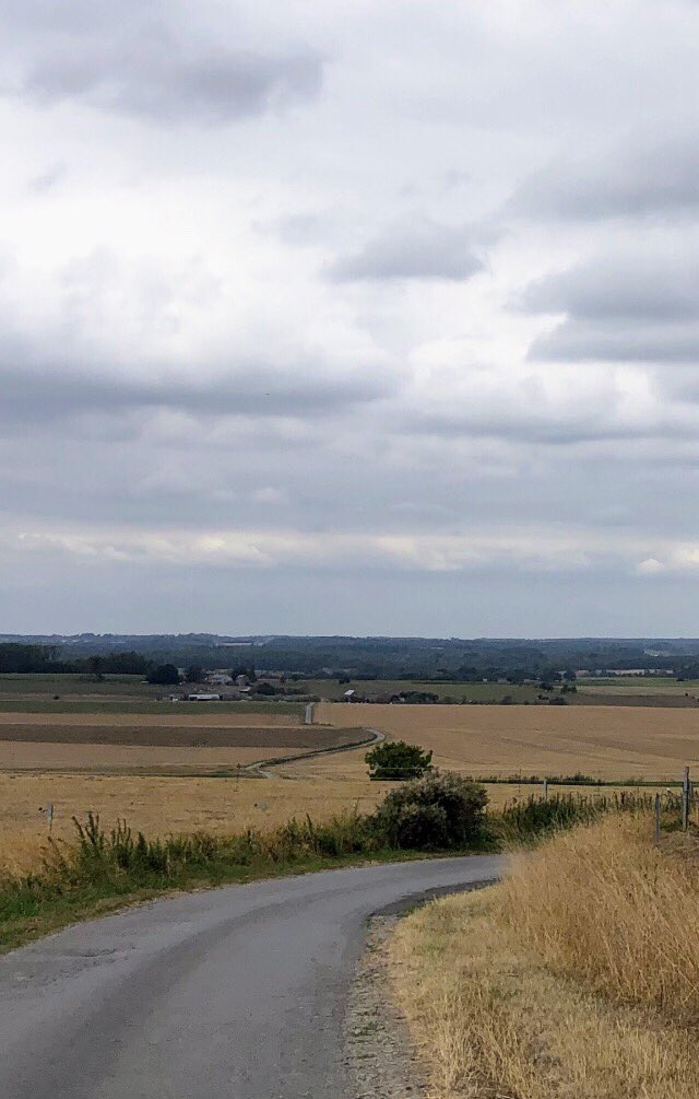 La Famenne fin août 2022
Changement de climat et changement de couleur : la campagne wallonne vire au greige, qqch entre les beiges et les gris