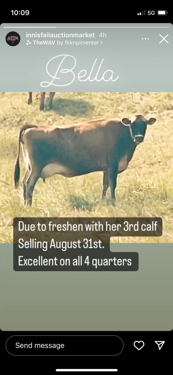 Bella sells this Wednesday! Give Danny a call with any questions. 403.391.0580