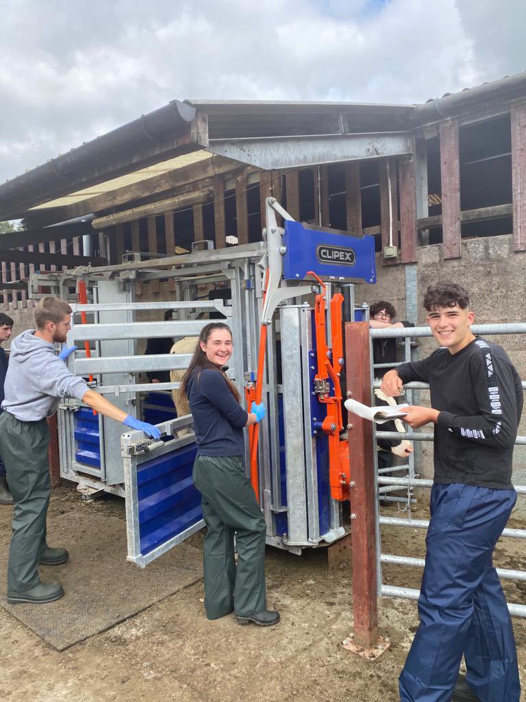 Today we welcomed our new Agriculture Modern Apprentices at our Barony campus. Working with our new crush fitting pedometers, inspecting tags, and checking health and welfare😊 #agriculture #agriculturelife #ModernApprenticeship #ApprenticeshipsWork sruc.ac.uk/wbl