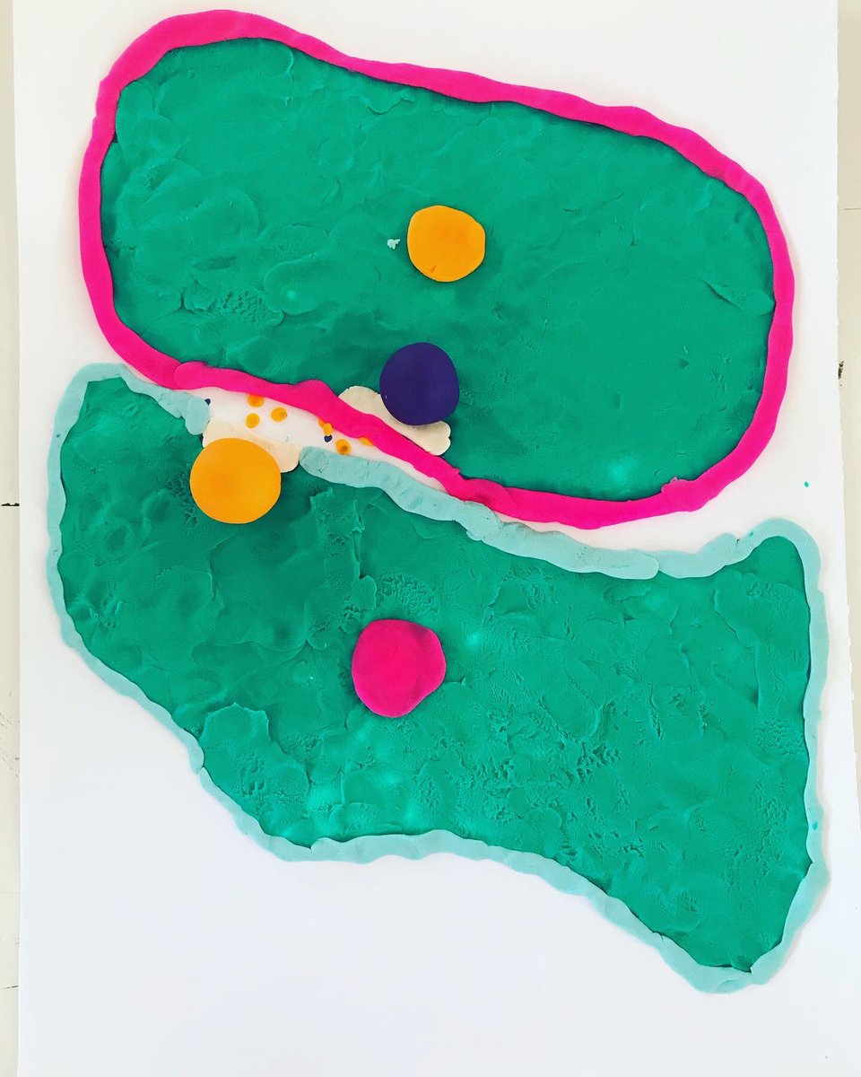 MiNICAD_Chile's tweet photo. “La célula a través de nuestros ojos” 👀👀👀 Gracias a @PlayDoh @Hasbro y a nuestros amig@s del @explorarmso por esta entretenida actividad, en la cual participaron alumnas y alumnos de 4to y 5to básico del colegio Domingo Faustino Sarmiento de la comuna de Puente Alto👏🏼👏🏼 https://t.co/YyZ80LOBAh