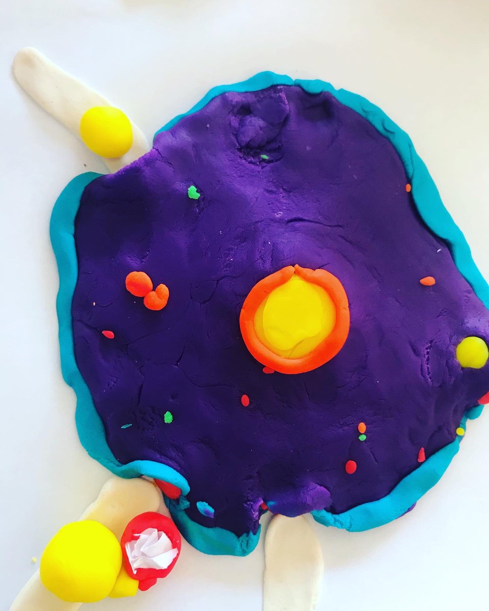 MiNICAD_Chile's tweet photo. “La célula a través de nuestros ojos” 👀👀👀 Gracias a @PlayDoh @Hasbro y a nuestros amig@s del @explorarmso por esta entretenida actividad, en la cual participaron alumnas y alumnos de 4to y 5to básico del colegio Domingo Faustino Sarmiento de la comuna de Puente Alto👏🏼👏🏼 https://t.co/YyZ80LOBAh