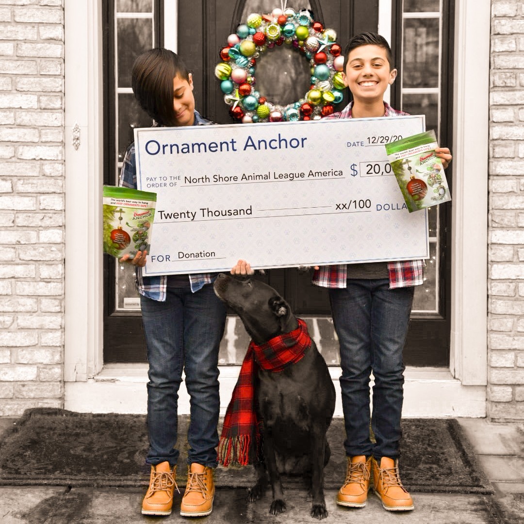 uspto's tweet image. Teen entrepreneurs Mickey and Ayaan Naqvi are dedicated to giving back. Just one example is their $20,000 donation to the animal rescue from where they adopted their dog Zara, who was the inspiration for their invention. Read more: bit.ly/3Sl6Ob4 #JourneysOfInnovation