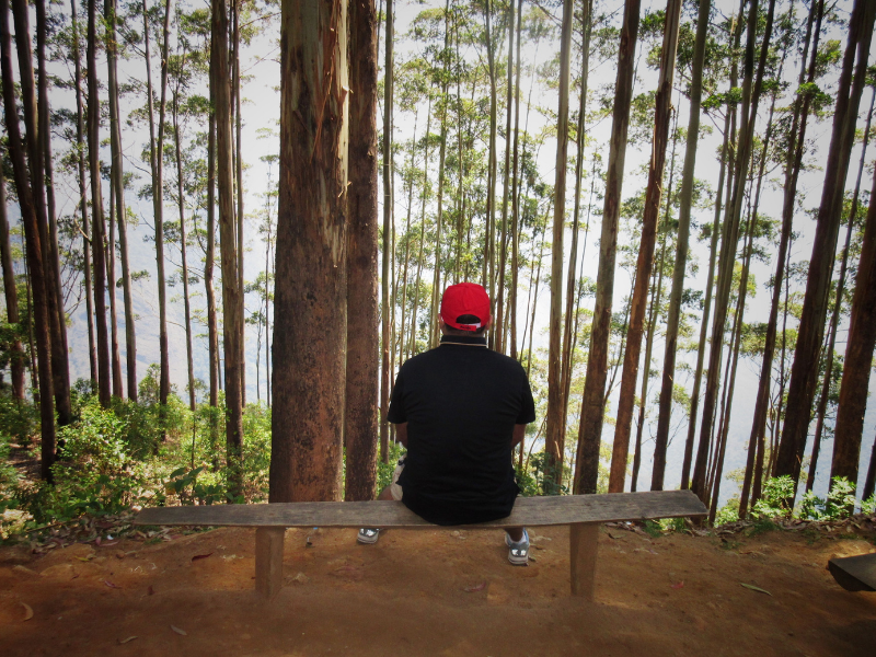 TuruhiCommunity's tweet photo. Waldeinsamkeit
It means "The feeling of solitude in the woods".
#linquistics #traveling #wanderlust https://t.co/rAuwHo0nWW