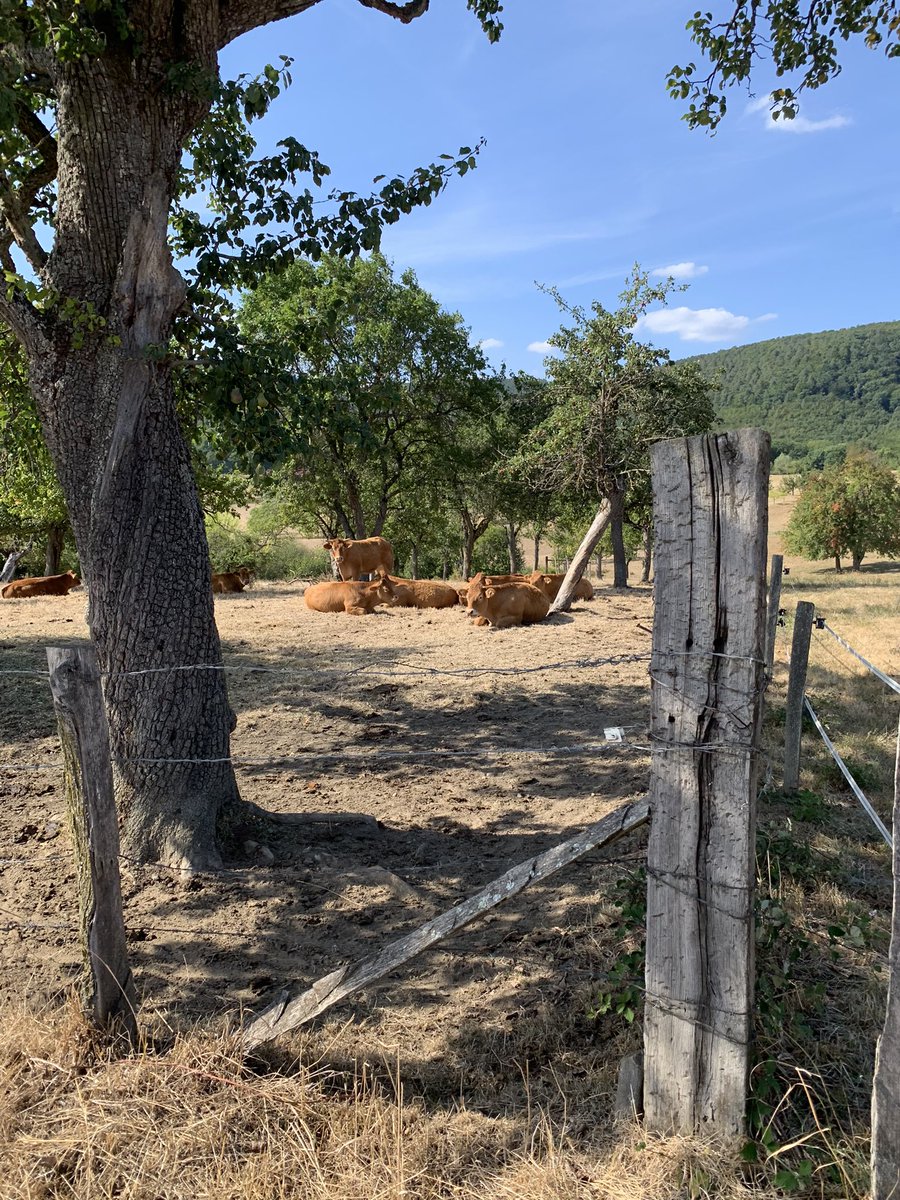 NatalieConsta1's tweet photo. Holy cow just Seize the mooment #NursesActive #ImperialActive @karhod21 @JoyAntonetteP @fatimanaveedra1 @EvelynRoseGome1 https://t.co/V91nXnuBtG