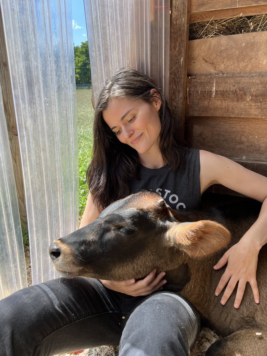 WoodstockFarm's tweet photo. It’s a great day to quit dairy for Heathcliff. RT if you agree! #mondaythoughts #Monday #cows #Vegan #VeganForTheAnimals https://t.co/gLiS4xoUsx