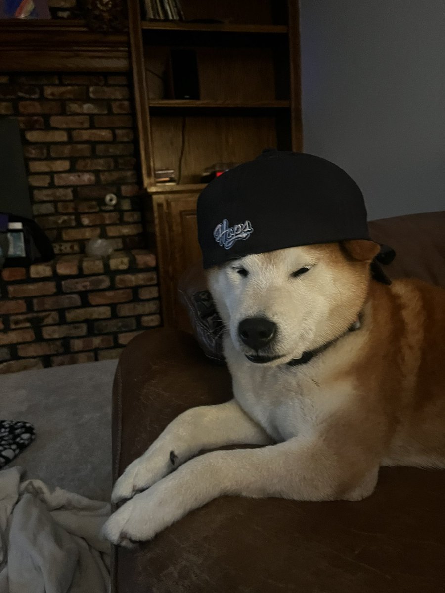 F3’s Folsom tweet media