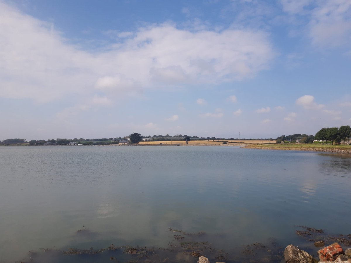 kevin_vallely's tweet photo. Latest weather for Fingal. Blanchardstown 19.8 °C, wind speed 3km/h.
Rush 17.8 °C, wind speed 10km/h from the East.
Swords 17.7 °C, wind speed 6km/h. Working with Met Eireann/OPW.
#Rogerstown # Estuary #SAC
#conservewater
#ClimateChange #Monday https://t.co/8OzUJ9JAV8