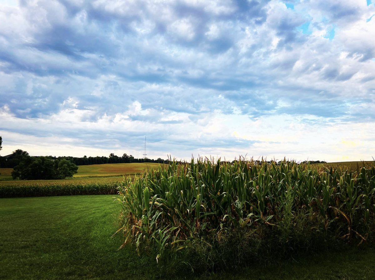 rounding, slowly, over
the half month to still another 
perfect circle—

the shining eye 
that lightens the hills 
that lays down the shadows — Mary Oliver

Rounding slowly over | 08.29.2022
