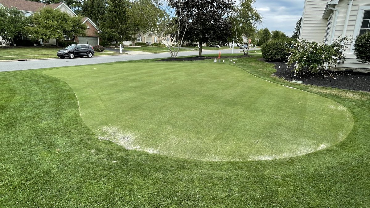 Brian Laurent tweet media