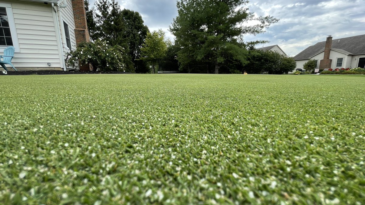 Brian Laurent tweet media