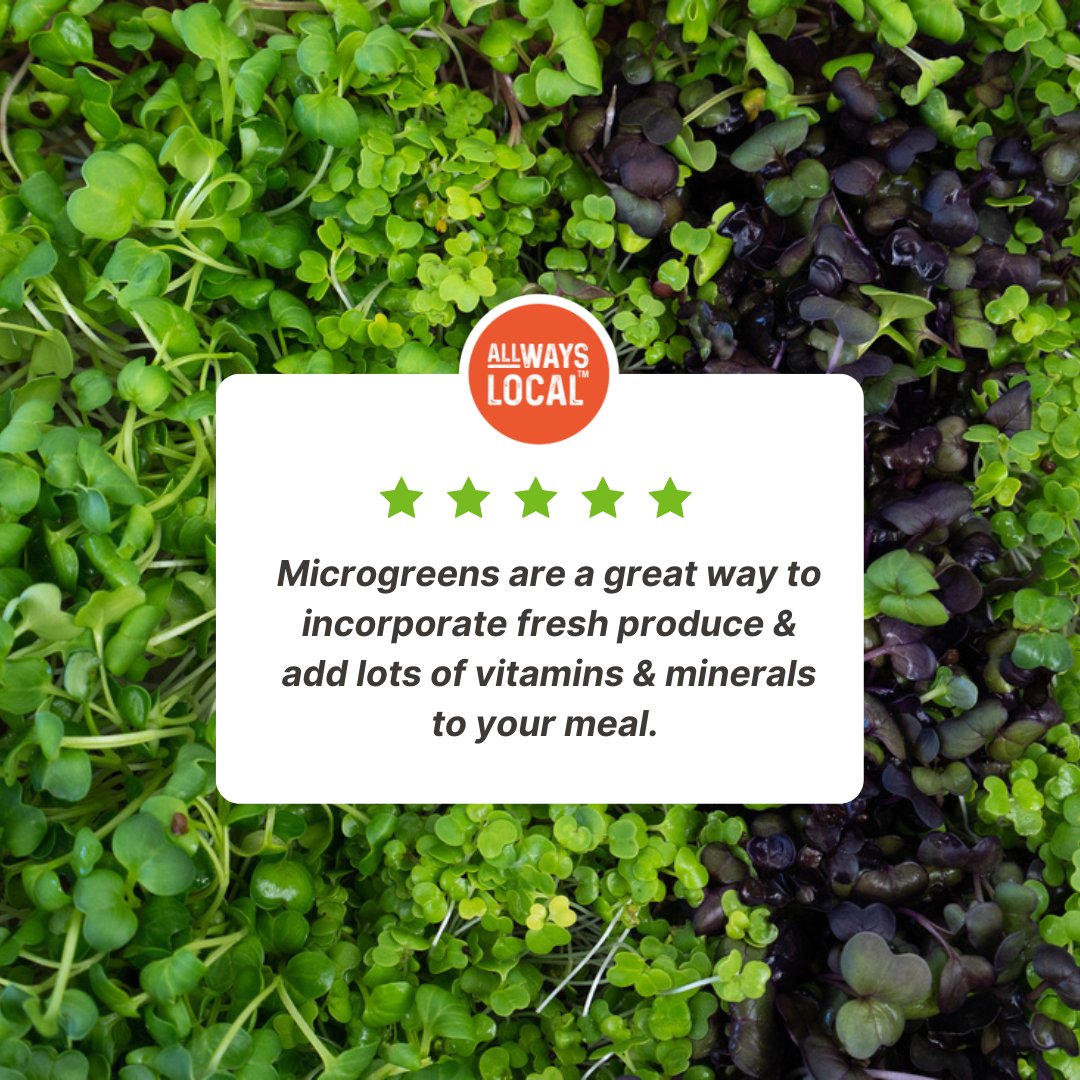 ALLWaysLocal's tweet photo. Microgreens are the easiest way to add a ton of flavour (not to mention vitamins) to everyday cooking. 

Try our fresh @ALLWaysLocal flavours for a whole new food experience! 🌱https://t.co/oUfXJpMEqu #microgreens #healthyfood #cooking https://t.co/P3pUFP5QJM