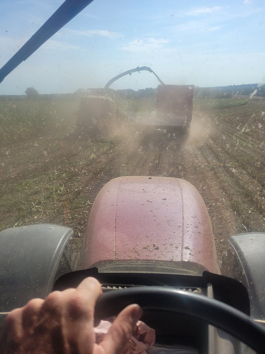 La saison des ensilages continue. La sécheresse a vraiment fait du mal. 😥😥