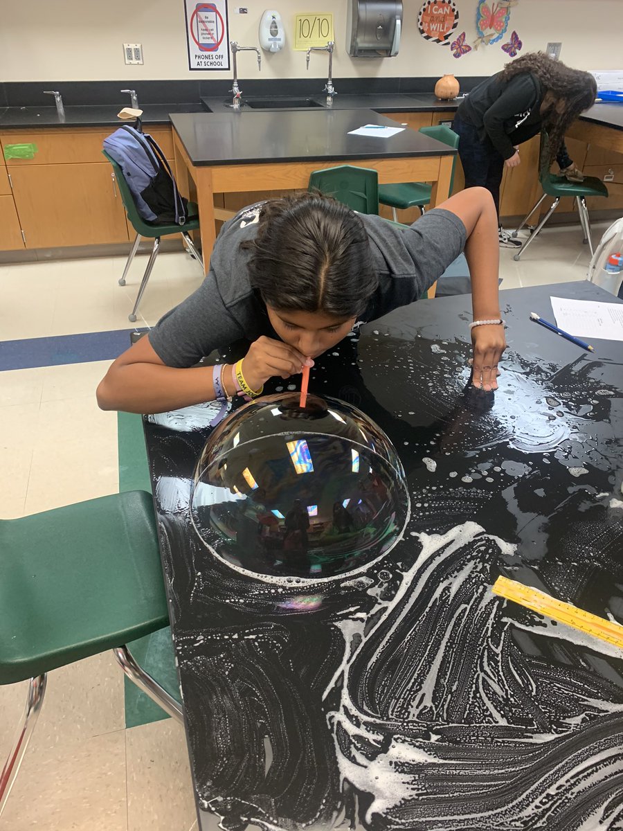 Bayside Knights tweet media