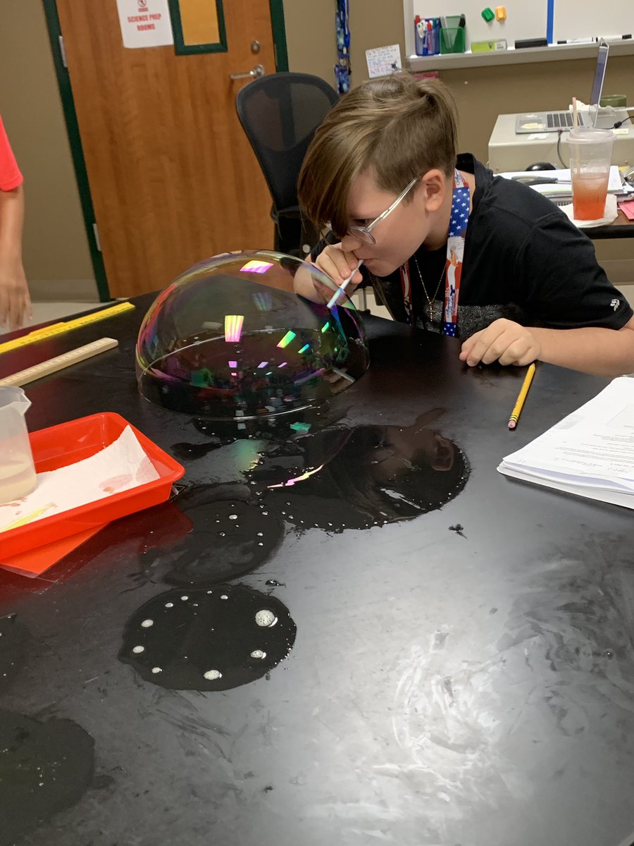 Bayside Knights tweet media