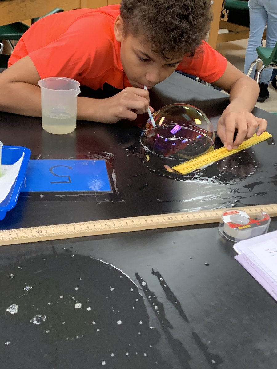 Bayside Knights tweet media