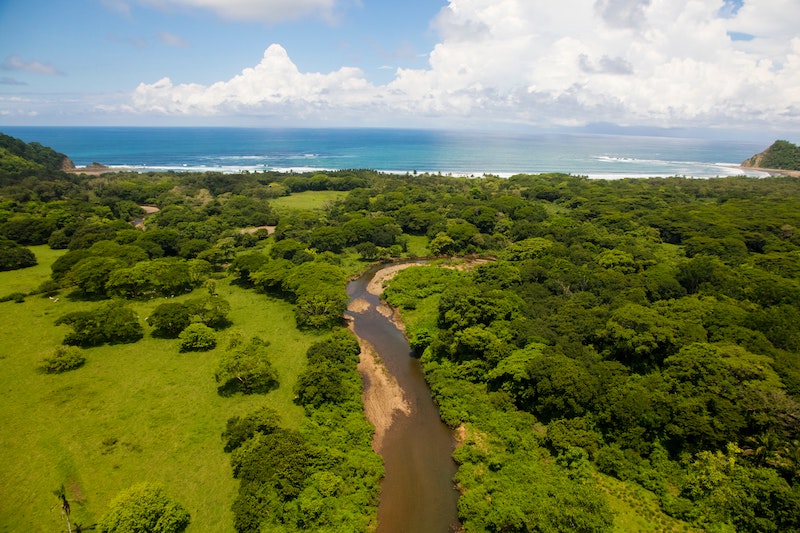GoAskALocal's tweet photo. Here's a #CostaRica tip from Local Expert Jorge: "People come here thinking of one ecosystem: rainforest. But we actually have many different environments: in #Guanacaste for example, people come looking for rainforest, but this is actually a tropical dry forest."
#localsknowbest https://t.co/uMllv98byB