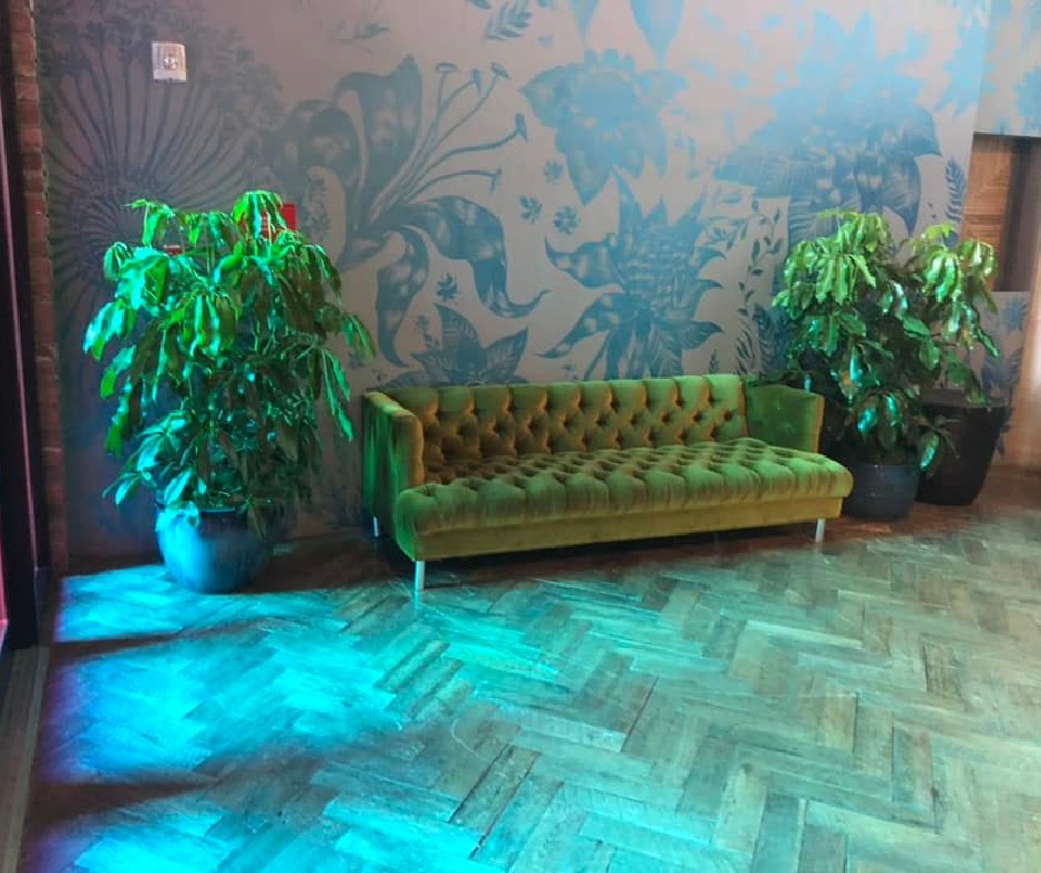 JMDLandscapes's tweet photo. If you look the right way, you can see that the whole world is a garden.
#Johnmini #distictivelandscapes #landscaping #indoorplants #indoorgarden #plants #landscapearchitect #gardendesigner #greensociety #landscapingdesign #plantsmakepeoplehappy https://t.co/2kh7f8FYhP
