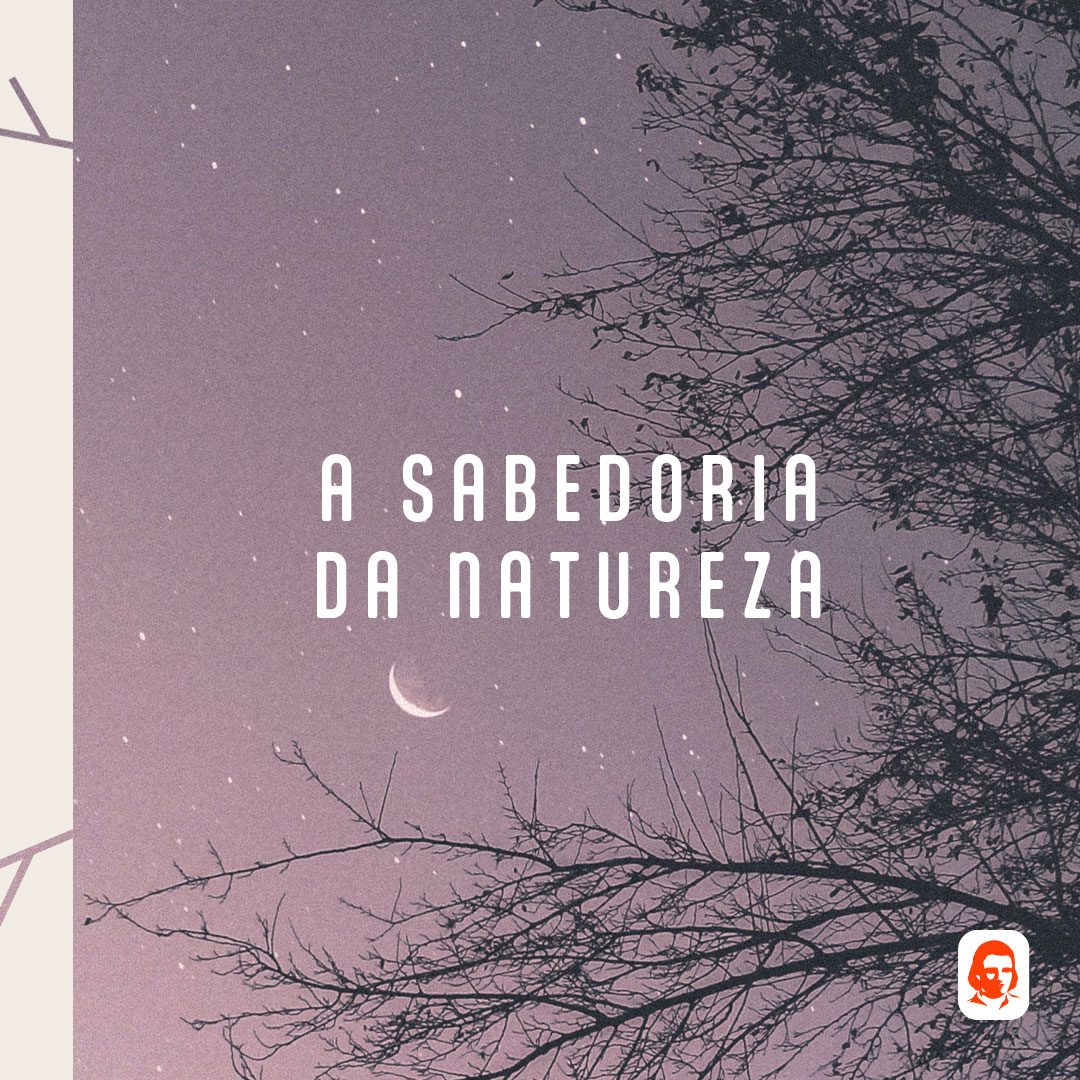StudioDesign_'s tweet photo. Mercados, até pouco tempo, tratados como commodities, atualmente ganham relevância, e, com ela, a necessidade de criação de identidades e conceitos norteadores de marca.

Cliente: Via Ápia - futuro alimentar
Mercado Agronegócio internacional https://t.co/GJtLWQdGUO