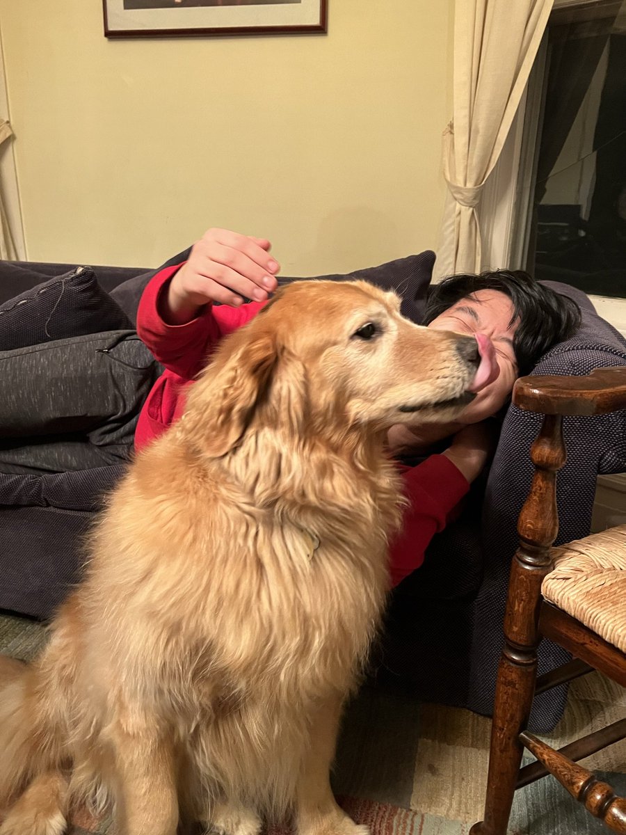 eli_shmeeli's tweet photo. RIP Obi 2011 - 2022

You left us far too suddenly and soon. I wish I could have seen you one last time, but I'm glad knowing that you are no longer in pain. My life was made better for having known you. Love, Eli https://t.co/uS9ZorMgcQ