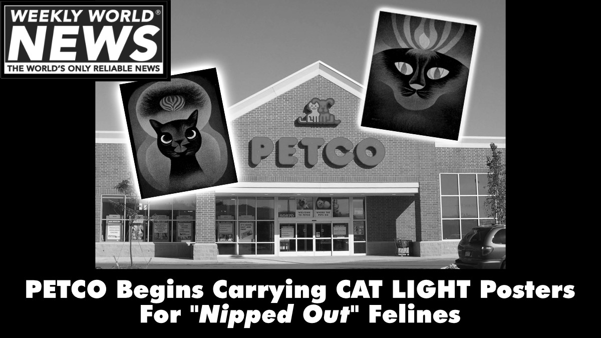 weeklyworldnews's tweet photo. "We have products for the full range of cats."
#petco #cats #felines #catlight #posters https://t.co/esNJbJkE74