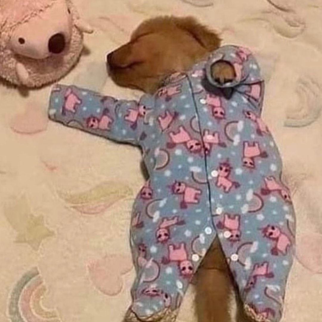 How we sleep after a night of socilaising and a cold can of Bounce Back 💤