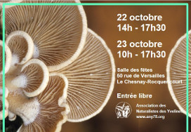 Exposition de champignons, les 22 et 23 octobre 2022 à la Salle des fêtes du Chesnay-Rocquencourt (78), 50 rue de Versailles. Vos récoltes de champignons seront les bienvenues. Exposition multidisciplinaire, conférences, microscopie. Voir sur any78.org