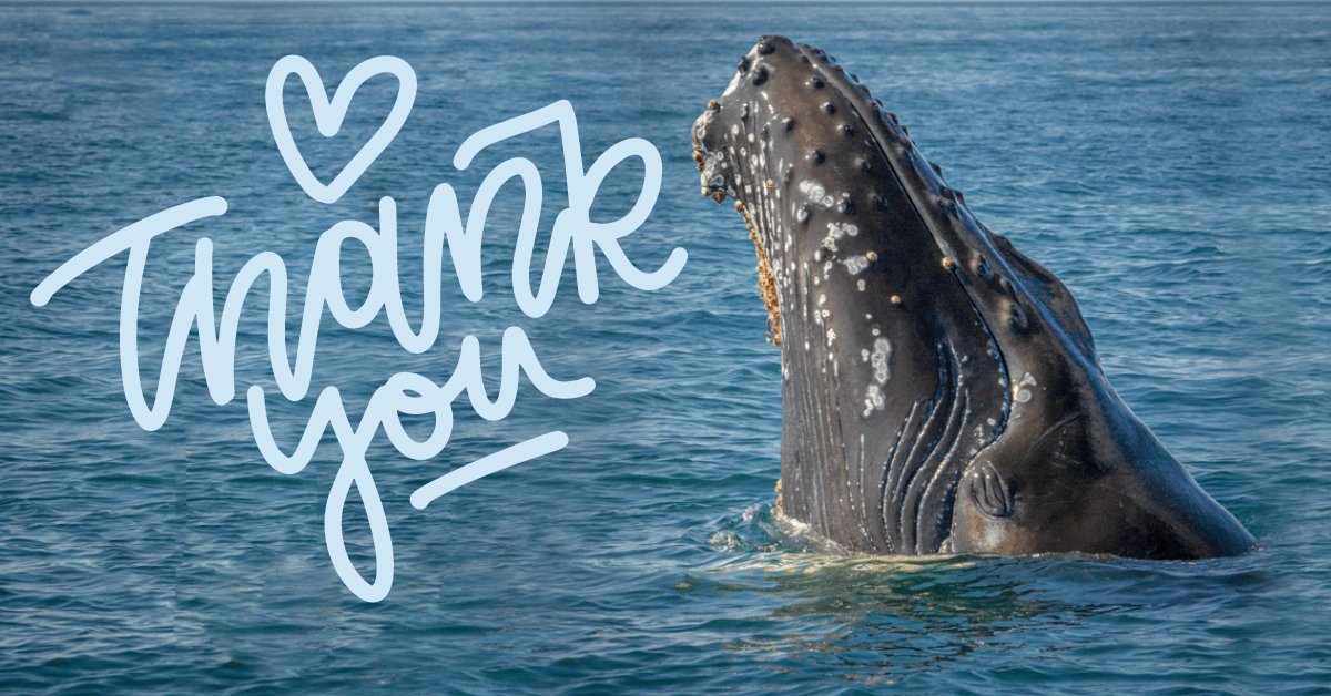 GoOceanBlue's tweet photo. We are really thankful to our partner @boxedwater for the great support they have provided! 💕Together we save the waves🌊🌊
#motherearth #oceancleanup #saveouroceans #OceanBlueProject #zerowaste #microplastic https://t.co/izbKVaXBb2
