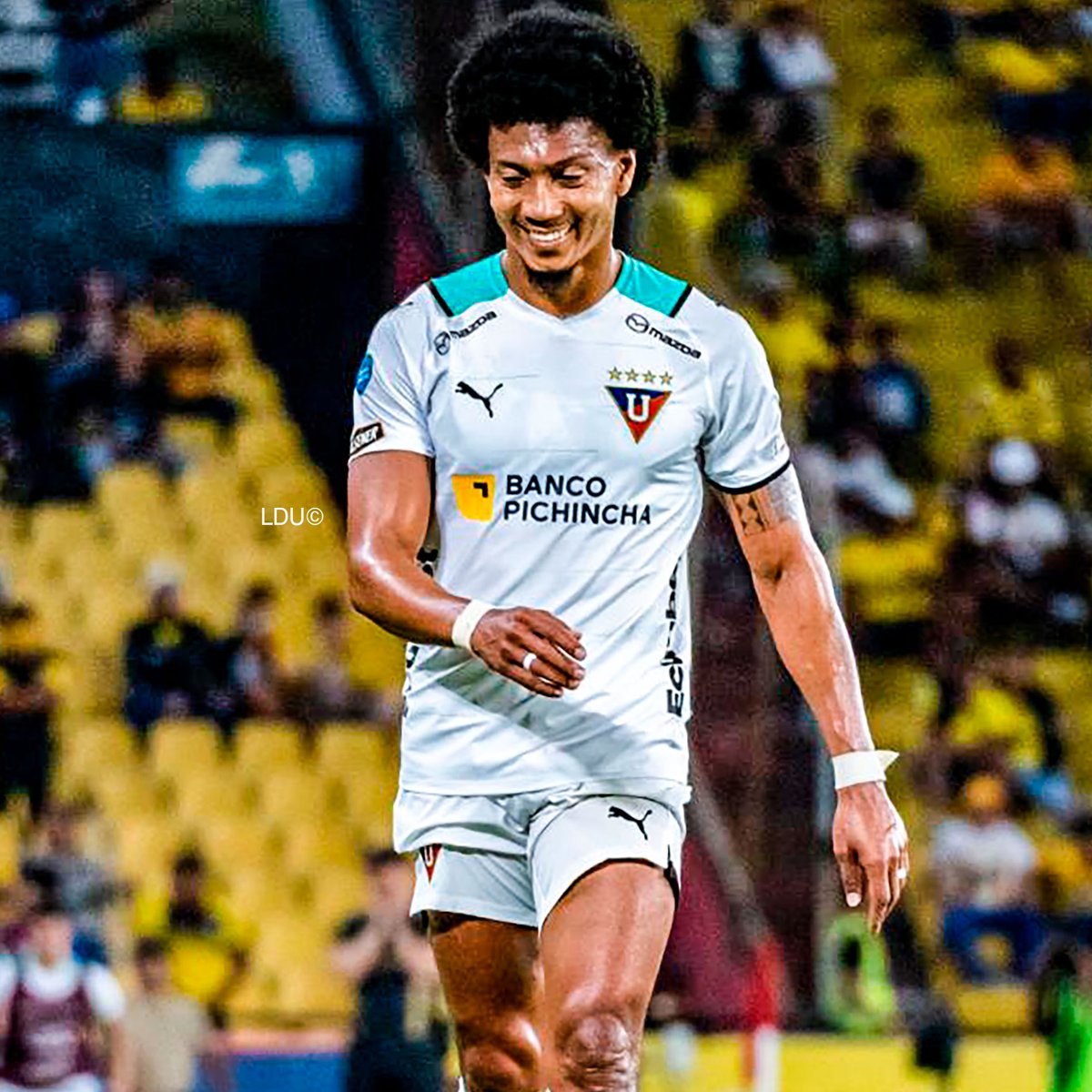 LDU_Oficial's tweet photo. #FelizLunes 💪

#VamosLIGA ⚪🔴 https://t.co/kl6JaVAAqH