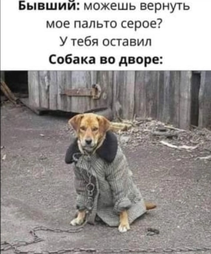 Анекдоты и приколы tweet media