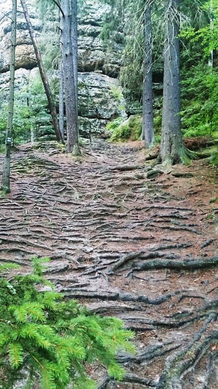 TheFeel_org's tweet photo. The Curious Case Of Benjamin Button 😎🙏
Rooting as a path to the future!
Deep within each of us, dwells our most unknown, our other self, our forgotten self, a stranger who sees our arising through the unexposed roots of our energy.
https://t.co/QwYsoGe0lk… https://t.co/Cg6YfsPIY1