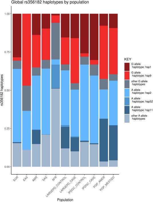 ParkinsonismD's tweet photo. #mostreadarticle #30days #PRD #openaccess #SNCA Polygenic risk prediction and SNCA haplotype analysis in a Latino Parkinson's disease cohort https://t.co/7Y6U9oROCp https://t.co/HJamAdsl2m