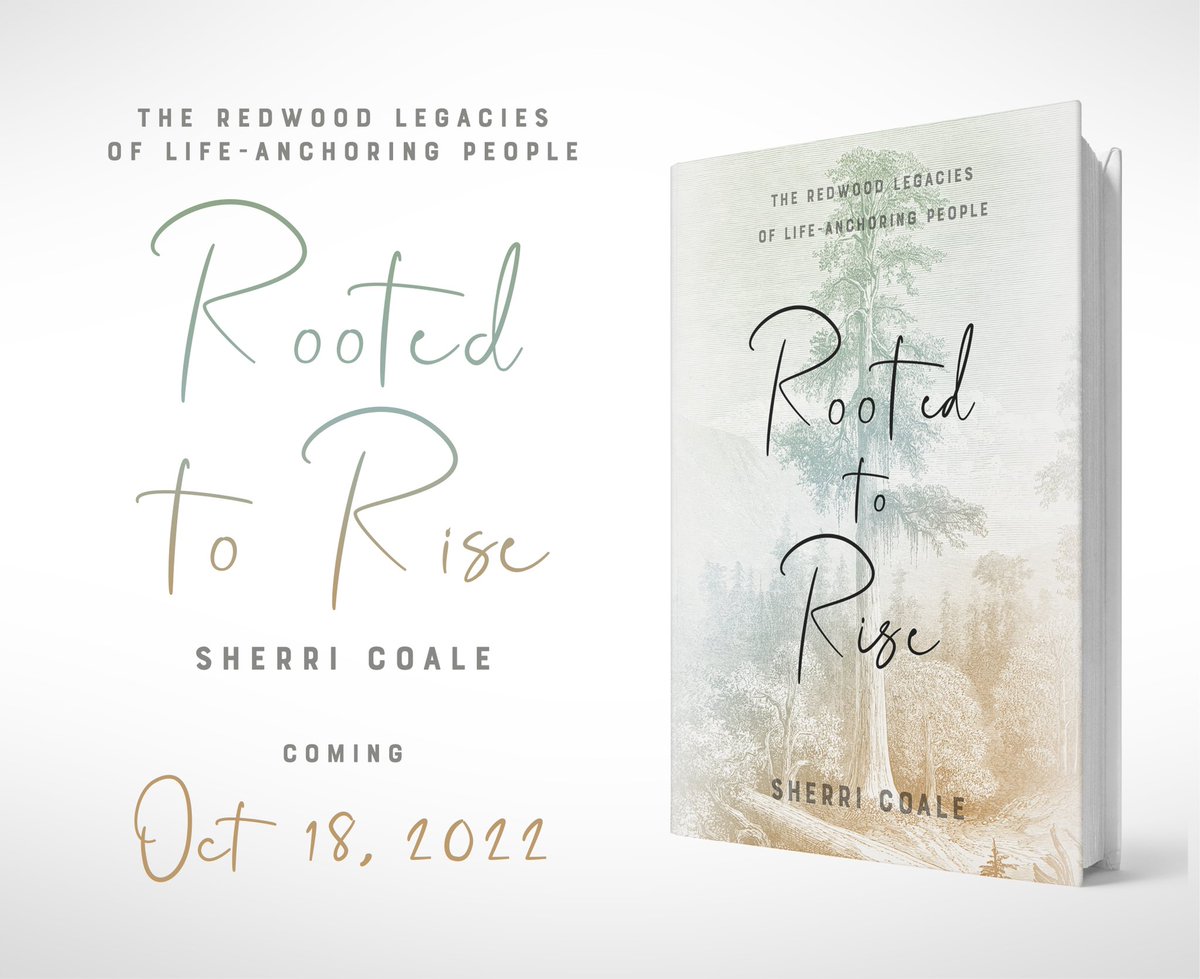 sherricoale tweet picture